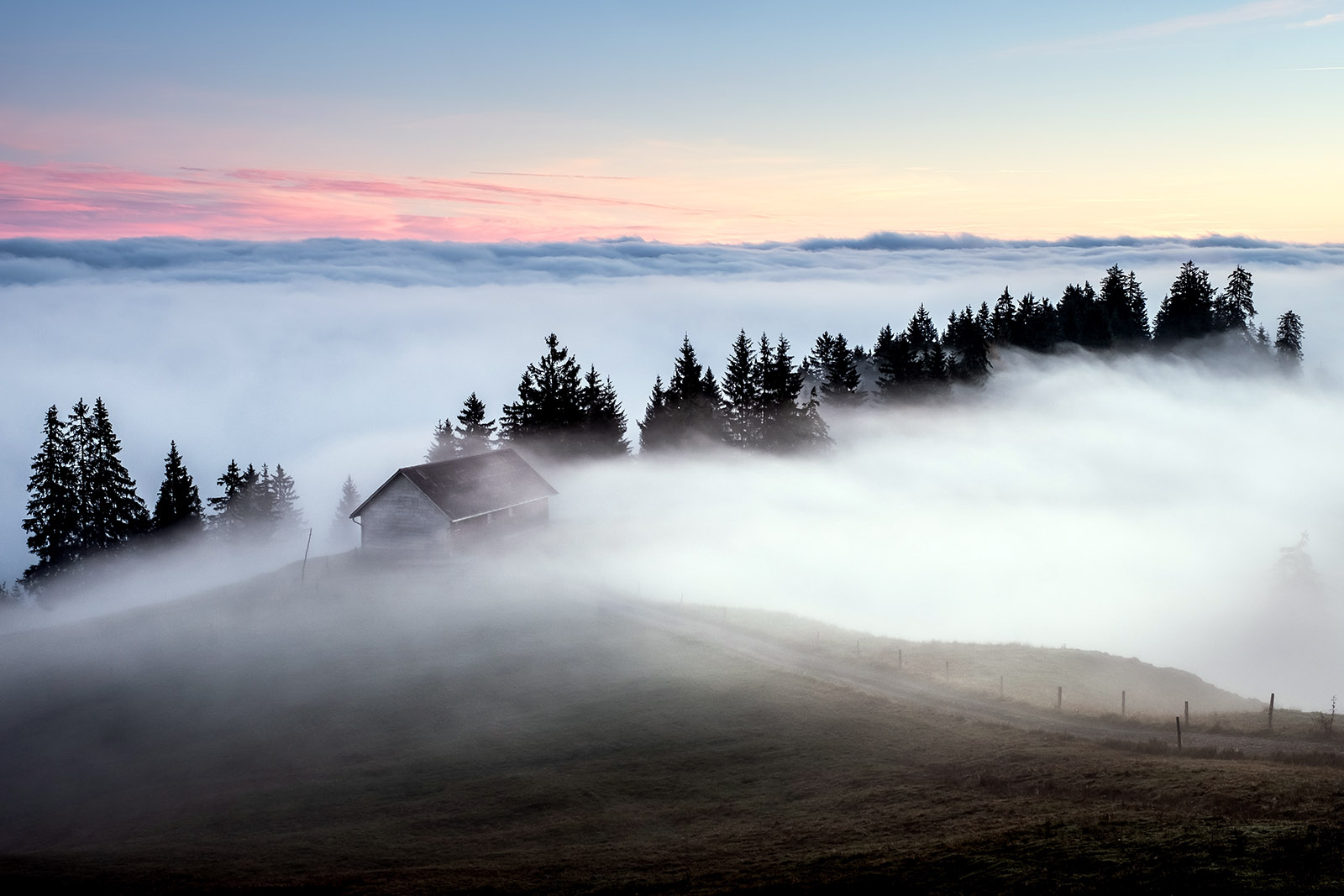 boris-baldinger-1093087-unsplash